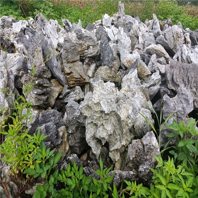 峰石造景 庭院假山與園林英石的藝術融合